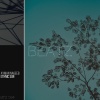 Ayman Nageeb - Ethnic Sun (Original Mix)