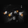 冷晨 - 不会再想你了