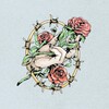Fallen Roses - Lies We Told