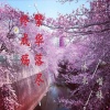 沐北、慕遥. - 繁华落尽终成殇