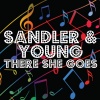 Sandler&Young《Lonely Street》[MP3/LRC]