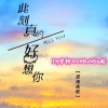 DJ宇轩Remix、望海高歌 - 此刻真的好想你 (DJ宇轩2020ReMix蓝调版)