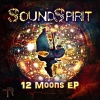 SoundSpirit《12 Moons (Original Mix)》[MP3/LRC]