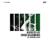 Spiros Kaloumenos - Blocks Of Life (Edit)