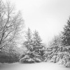 Xmas Party Ideas、Canciones Infantiles、Christmas Songs - Furious Flurries