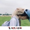 何鹏达、郝向阳 - 时间从来不语