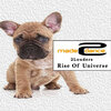 2Louders - Rise Of Universe (Radio Edit)