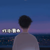 王英涛 - 蹦迪嗨曲