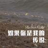 寐加岛、苏可可 - 如果你是我的传说 (Remix)