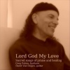 David van Ooijen、Greg Palma - Ave Maria (feat. David Van Ooijen)