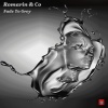 Co、Romarin - Fade to Grey