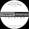 Ahmed Walid - Forever & Always (Original Mix)