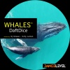 DaftDice - Whales (Original Mix)