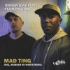 Terror Tone、Plain English - Mad Ting (OriginalMix)