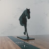 Alberth - Focus
