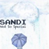 Sandi - Not so Special