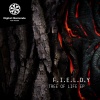 F.I.E.L.D.Y《Tree Of Life (Original Mix)》[MP3/LRC]