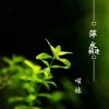 慕遥. - 萍水相逢