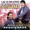 Requiebros、Antonio y José - Baila Conmigo