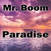 Mr. Boom - Dark Night (Original Mix)