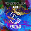 The Smell of Males - Acid (Original Mix)