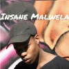 Insane Malwela - Tears of Joy (Original Mix)