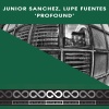 junior sanchez、Lupe Fuentes《Profound (Radio Version)》[MP3/LRC]