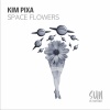 Kim Pixa《Orbital Flow (Original Mix)》[MP3/LRC]