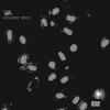 Justin Hobbs - Sunzsetz (Radio Edit)