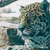 Sean Sago - Sleepless Night (Original Mix)