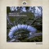 Li-Polymer - Rachel's Frog (Original Mix)