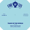 Knut Reiersrud、Mighty Sam McClain - Tears of the World
