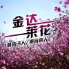 潮音诗人 - 贵州姑娘 (DJ版)