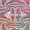 Big Bunny - Take It To The Top (Original Mix)