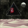 Fly - Captive Dunes