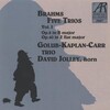 Golub Kaplan Carr Trio - I. Allegro con brio