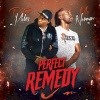 peter miles、Mc Norman - Perfect Remedy (feat. Peter Miles)