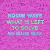 Rogue Wave - What Is Left to Solve (Dan Deacon Remix)