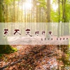 温柔清泪、语音表哥 - 观望的烟火