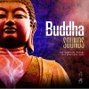 eli kazah、Buddha Sounds - The Search Is Over