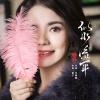 蒋婴 - 似水流年