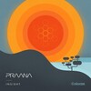Praana - Insight (Original Mix)
