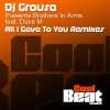 Dj Grouse、Brothers In Arms、Dave M - All I Gave to You (Chicbones Rework)