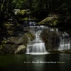 Jana Herzen、Nett Duo、Charnett Moffett - Overtones