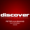 Peter Hulsmans - Motionless (Original)