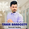Salih Dılovan、Geleneksel、Tahir Bradosty、Dilovan Müzik - Ayle Şerin