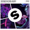 Vintage Culture、Adam K、MKLA - Deep Inside Of Me (feat. MKLA)