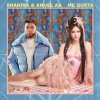 Shakira、Anuel AA - Me Gusta