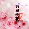颜道 - 万里桃花 (Live)