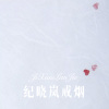 柯南 - 纪晓岚戒烟 (Remix)